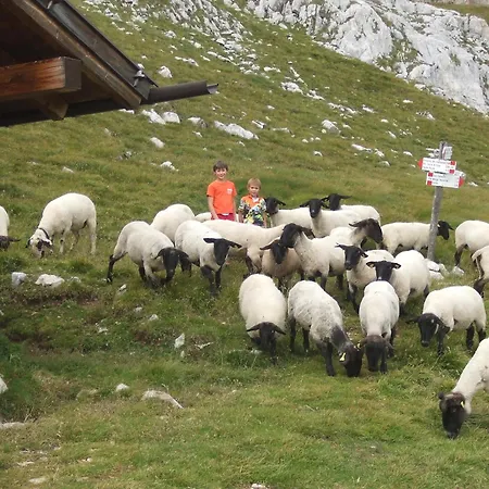 Maso Santa Libera Alloggio per agriturismo *