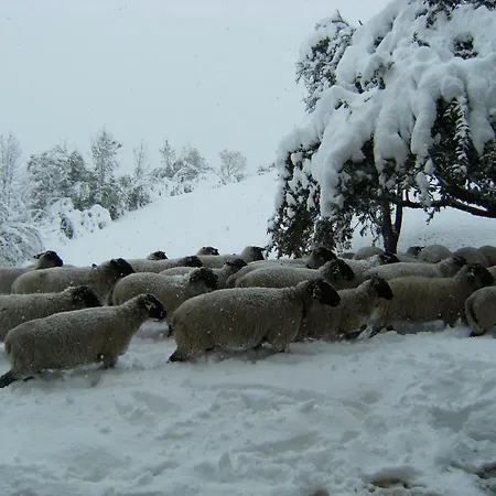 Maso Santa Libera Alloggio per agriturismo *